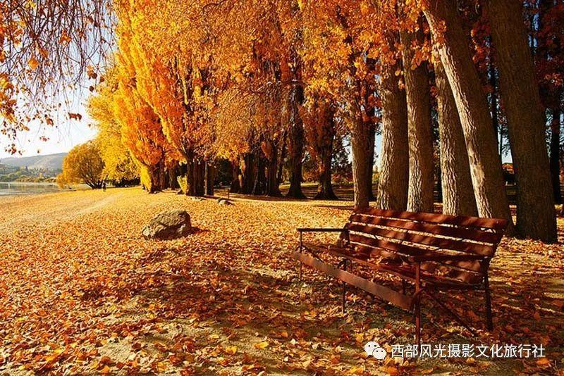 辽篮公告：周俊成训练中右胁骨折 休息四到六周